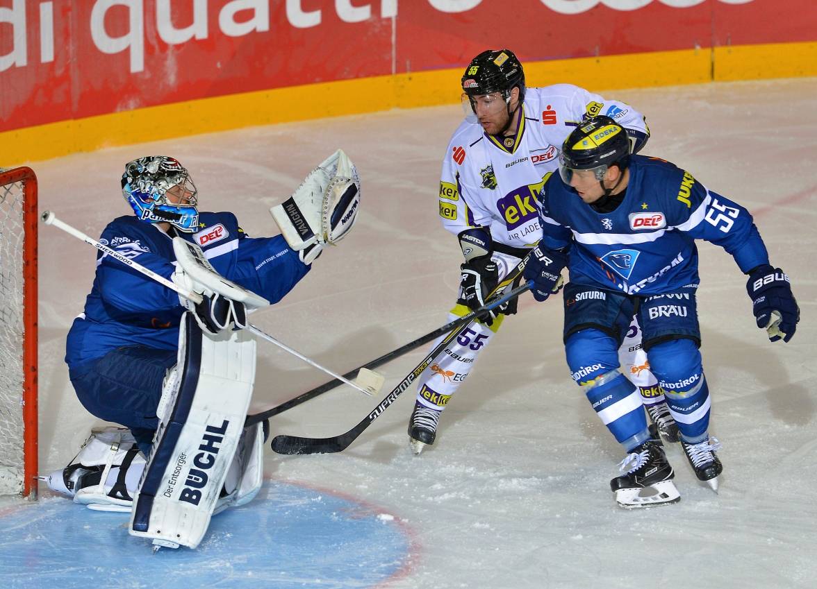 Pinguine finden nicht in Erfolgsspur