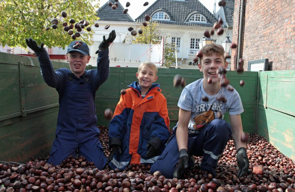 Die fleißigen Helfer konnten tonnenweise Kastanien in die Container packen.