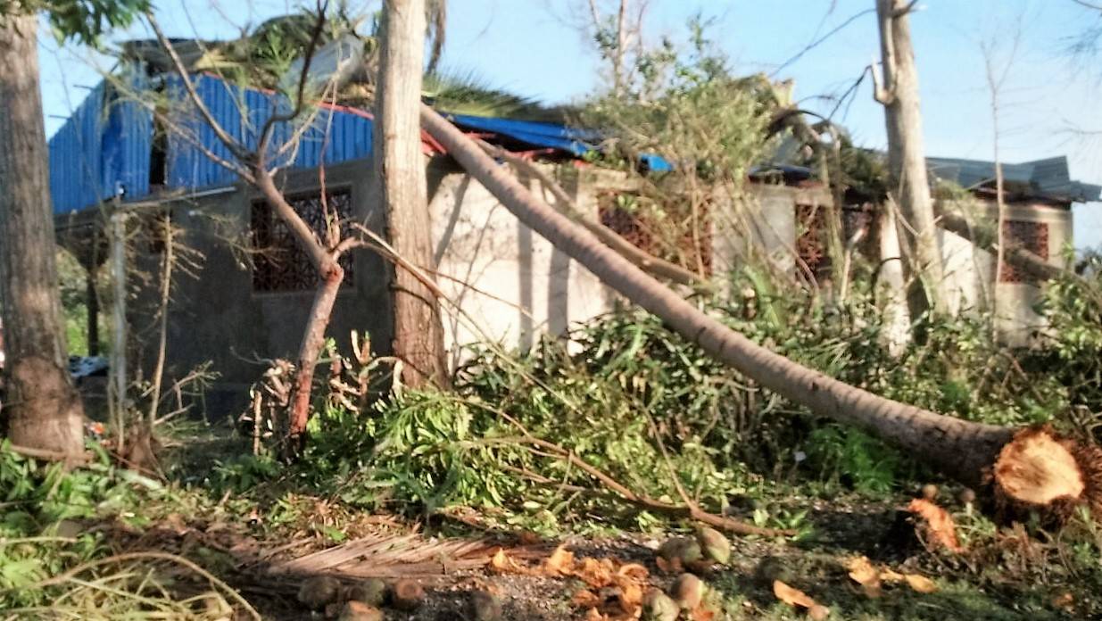 „Bitte jeder einen Euro spenden!“