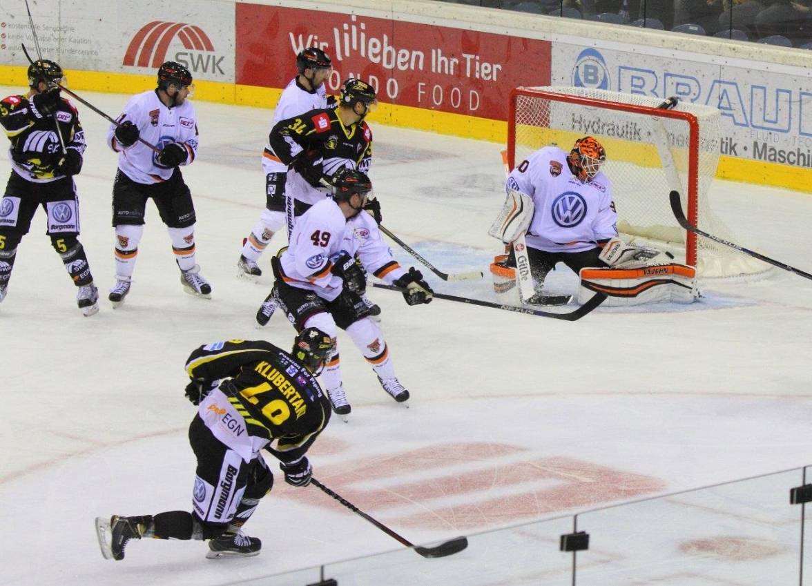 Pinguine unterliegen auch Grizzlys
