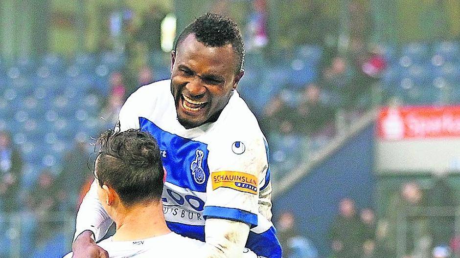 Zebras sind voll im Angriffsmodus