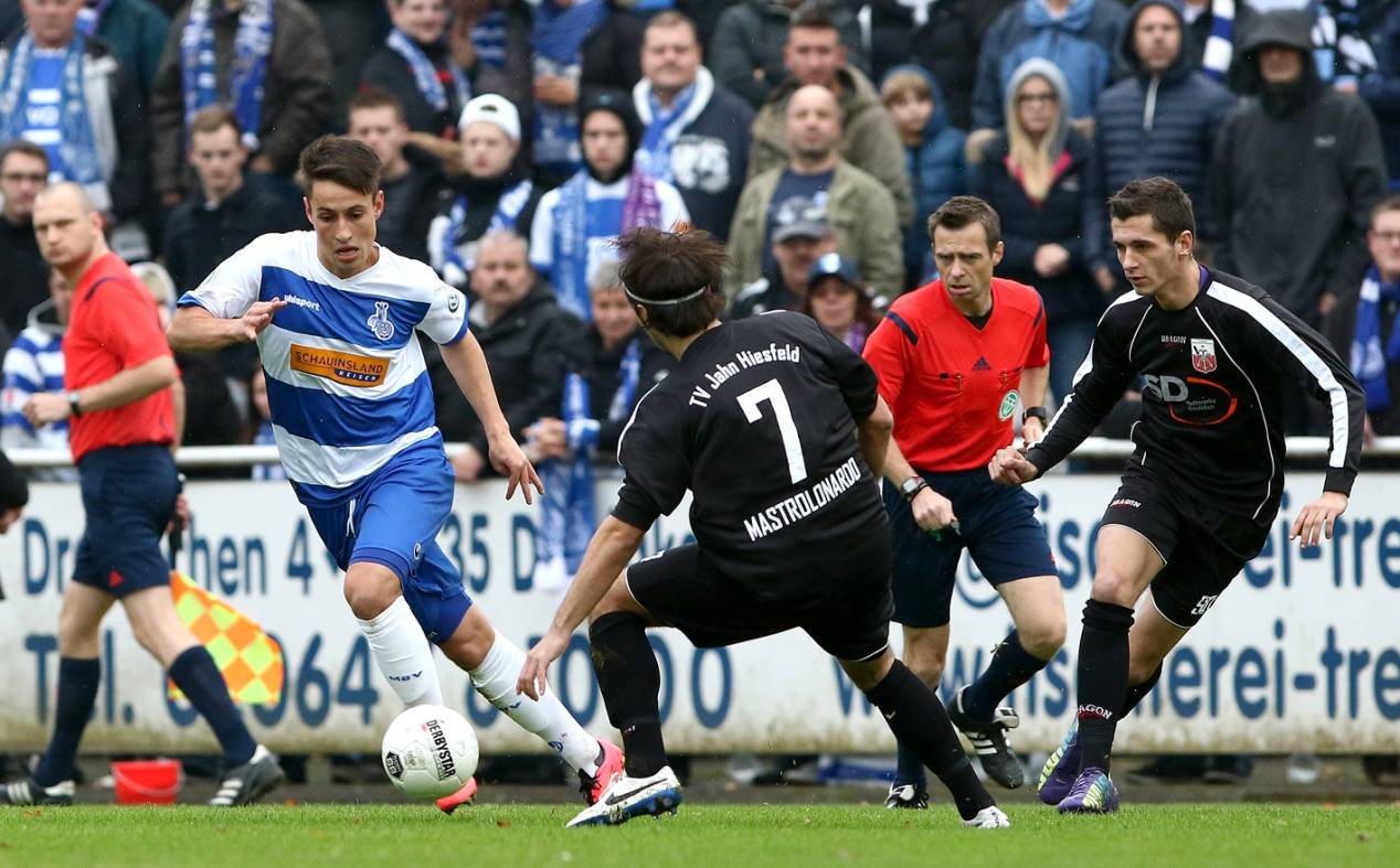 Zebras treffen auf Kieler Beton