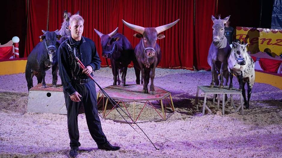 Circus Renz kommt nach Fischeln