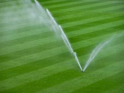 Zeugen gesucht: Rollrasen für den VfL Bochum zerstört