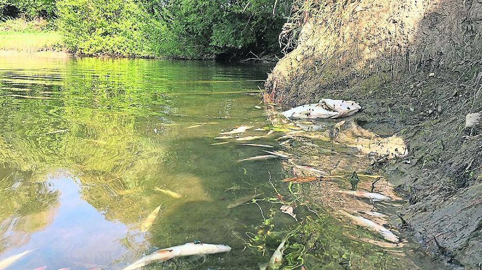  Fischsterben im Anglersee der Hover Kull. Mit Hilfe von Pumpen wird jetzt der Sauerstoffgehalt des Wassers erhöht. 