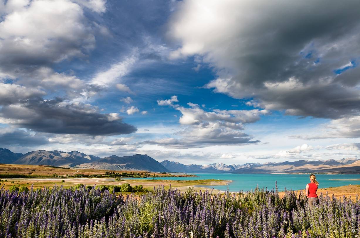 Live-Reportage über Neuseeland