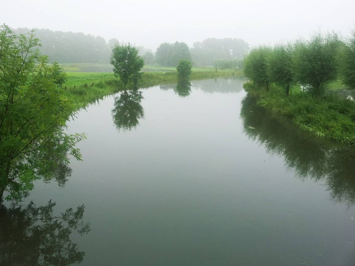  Die Niers, hier bei Oedt, soll noch sauberer werden. Über ein Online-Portal können die Bürgerinnen und Bürger hierfür Anregungen geben. 