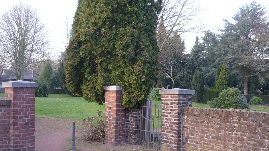 Friedhof als besseres Hundeklo