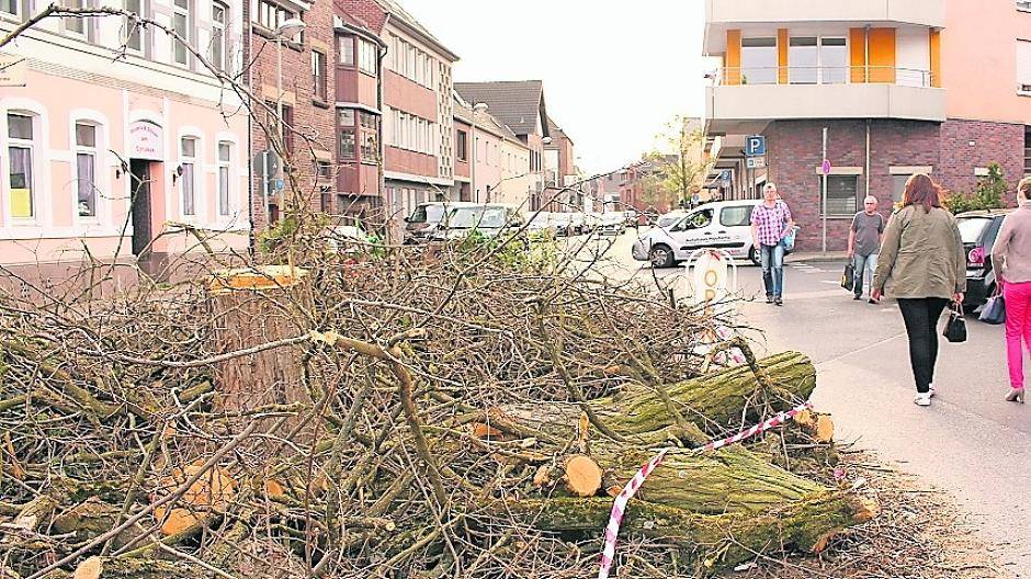 Trauriger Anblick: Viele Bäume mussten wegen Krankheit und mangelnder Standfestigkeit gefällt werden - auch in Hüls. Nach Wunsch der Bezirksvertretung sollen die Stellen wieder aufgeforstet werden.
