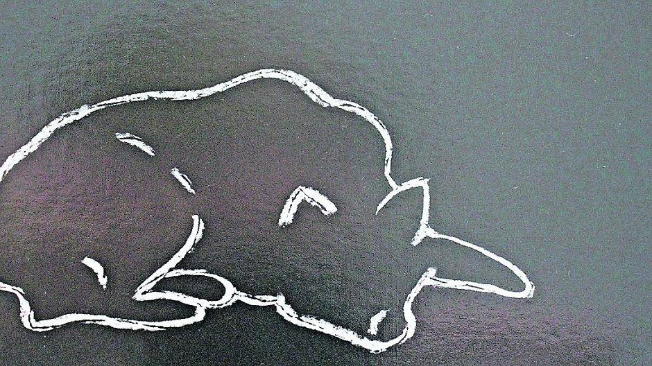 Das Logo zum Stück: Ein schlafender Hund versinnbildlicht „Dogville“. Im Theater können Interessenten zu den Vorstellungen 27. März, 1. und 17. April für 15 Euro ein T-Shirt mit Aufdruck erwerben.