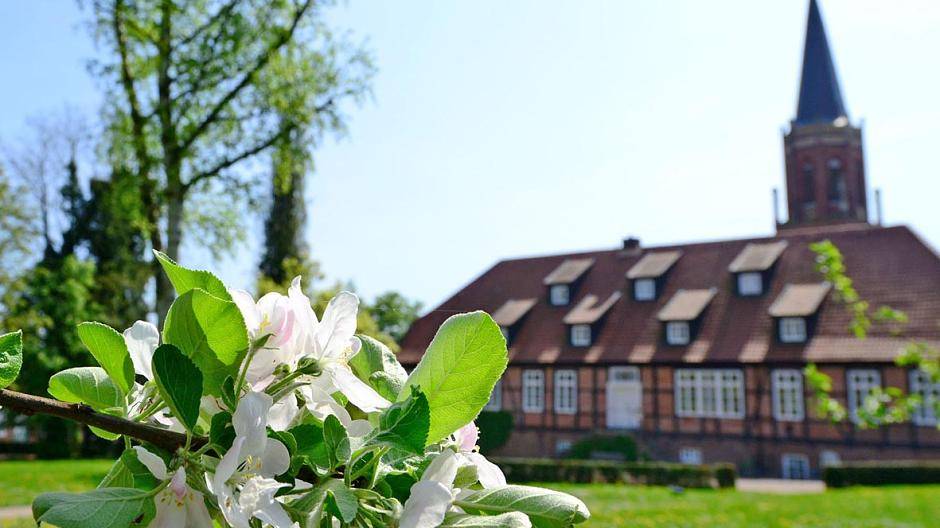 Zum reizvollen Klosterpark Harsefeld gehört die dreischiffig gewölbte St. Marien- und...