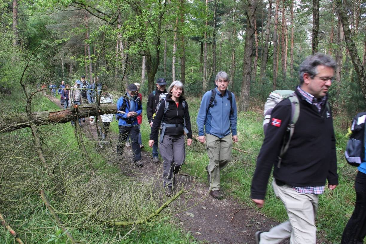Neues Wanderheft schlägt Wanderweg im Naturpark Schwalm-Nette vor: Manuel Andrack im Birgeler Urwald