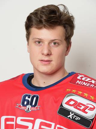 Koziol wird ein Pinguin