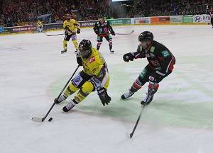 Yared Hagos verlängert seinen Vertrag bei den Krefeld Pinguinen: Hagos bleibt in Krefeld