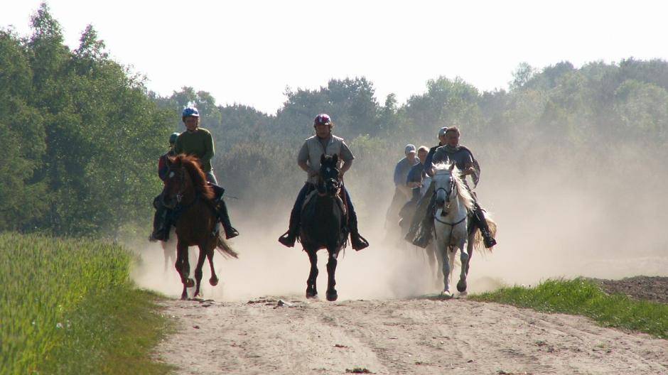 Reiter haben es nicht einfach.