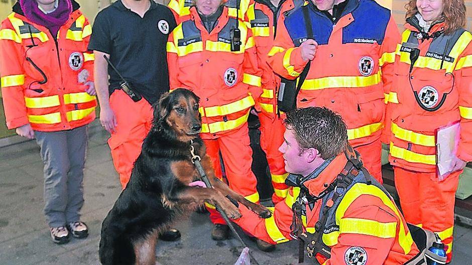 Spürnasen als Menschen-Retter