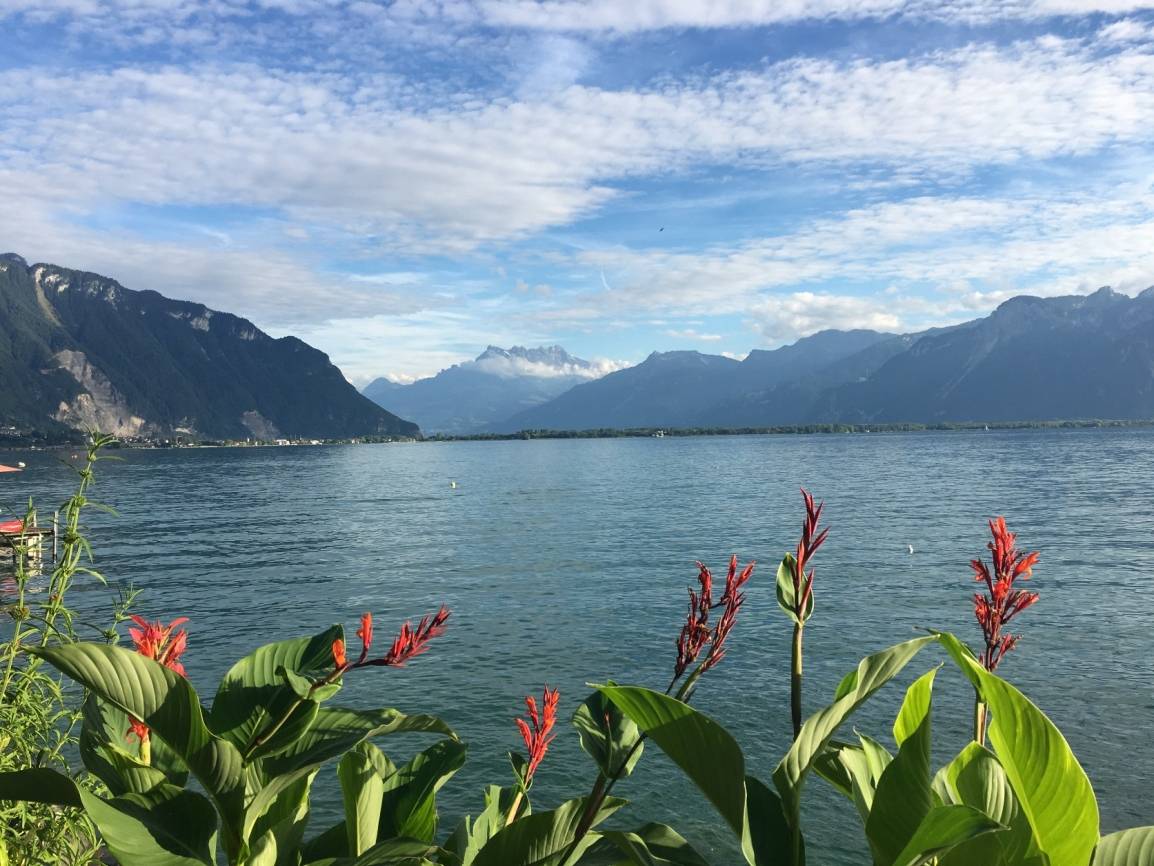  Berge, der Genfer See und eine subtropische Vegetation - die schweizer Stadt Montreaux hat viel zu bieten. 