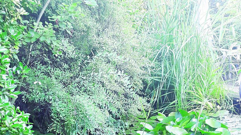 Darf nicht fehlen: Der Fischreiher (aus Plastik).