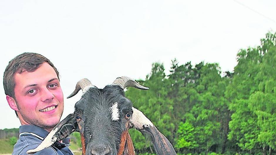  Christian Jakobs und Becky. Die Ziege möchte auch mit über einem Jahr noch ständig auf den Arm. 