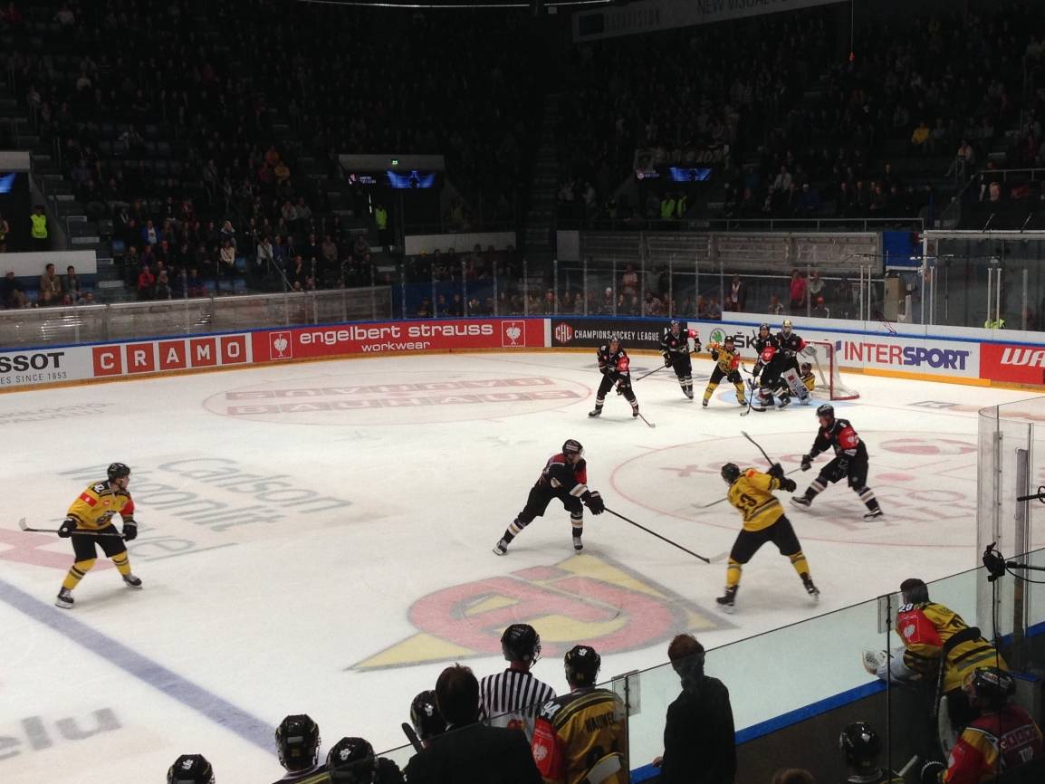 Pinguine: Noch ist nichts verloren