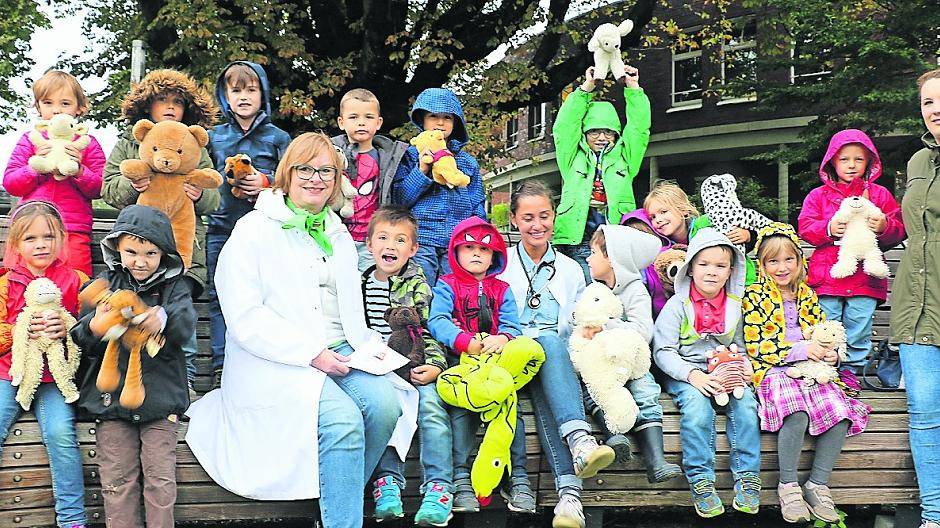 Kuscheltiere mit Beinbruch