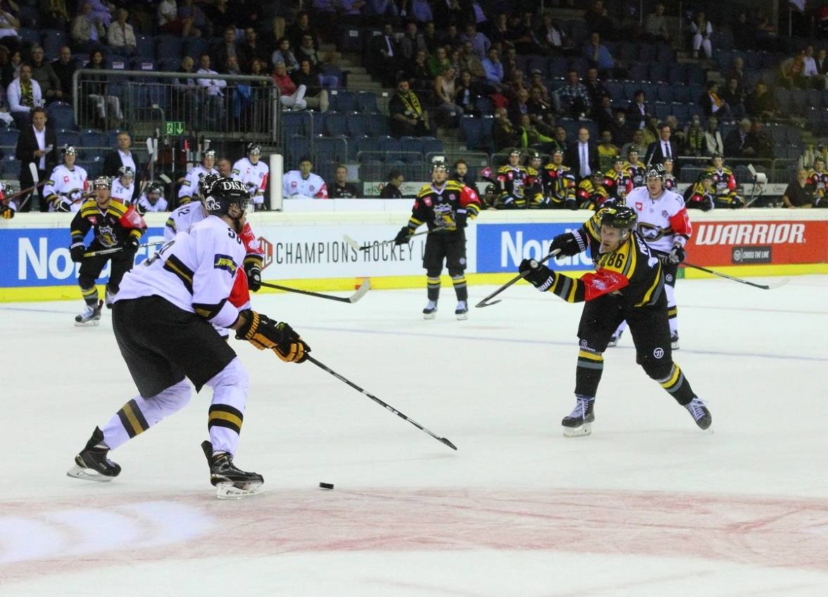 Krefeld Pinguine reisen nach Oulu und Wien: „Wollen gegen die Finnen siegen“