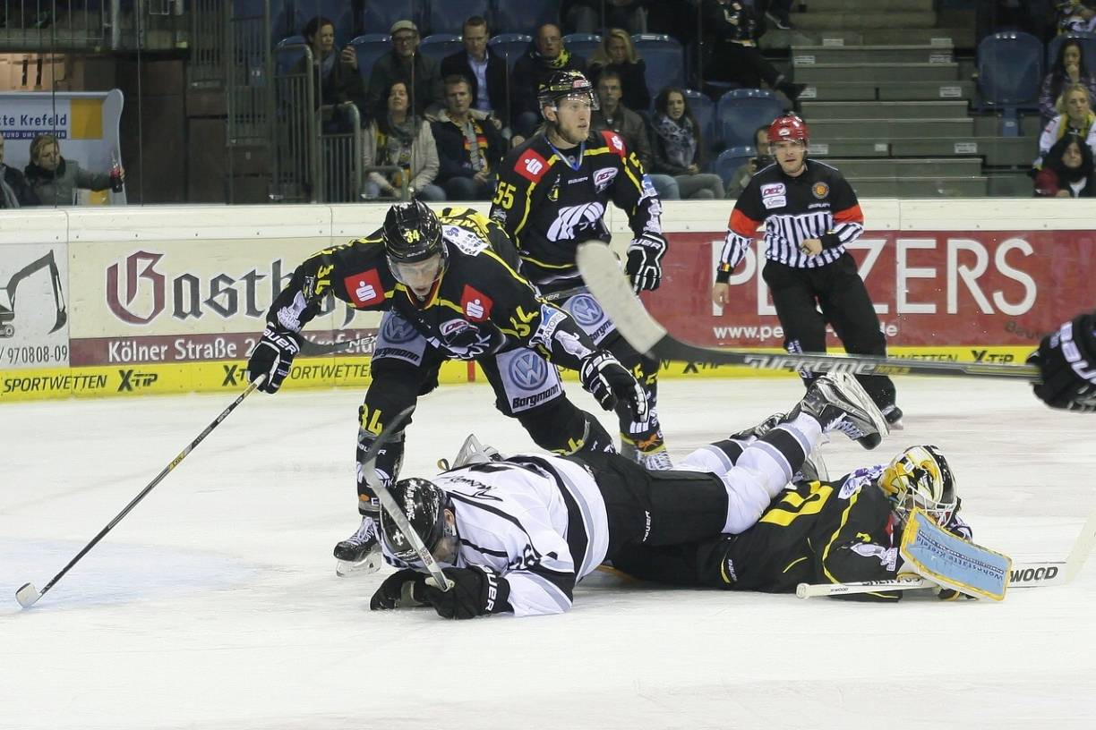 Pinguine wieder im Keller