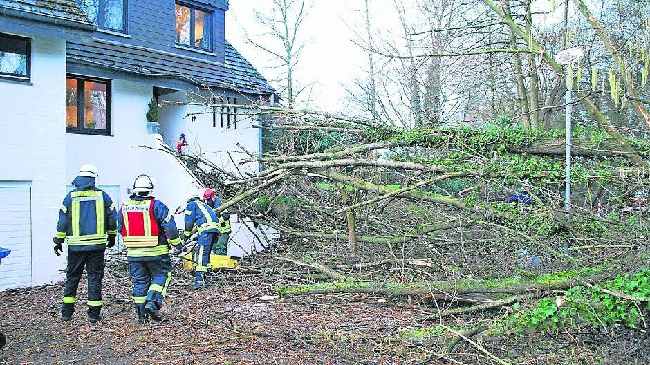  Sturm Thomas sorgte für etliche umgefallene Bäume, hier traf es ein Haus in Schwalmtal.  