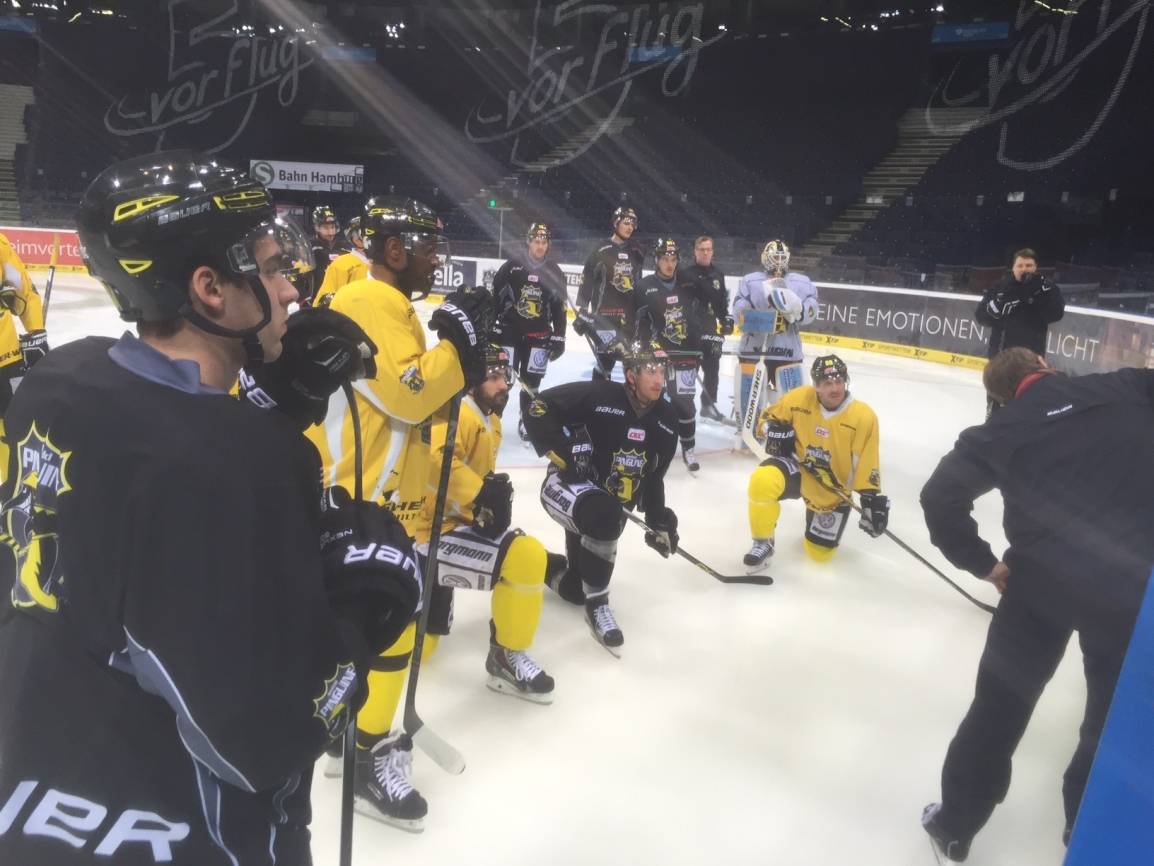 Die Krefeld Pinguine bereiten sich auf das Abendspiel gegen Hamburg vor / Der Extra-Tipp ist vor Ort: Es kribbelt bei Schwarz-Gelb