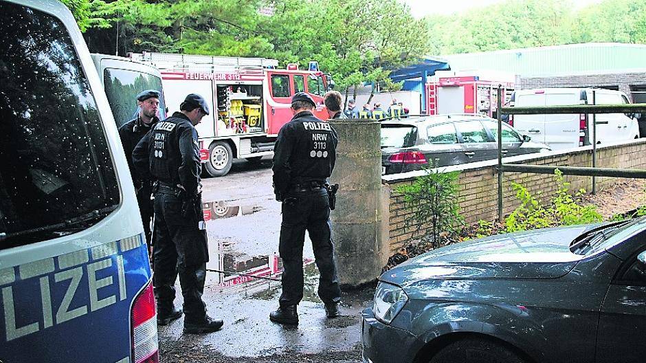 Hanf statt Champignons