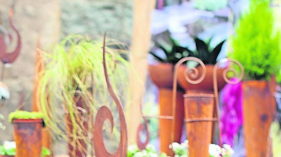 Fotos: Reno Müller Messen Märkte Ausstellungen