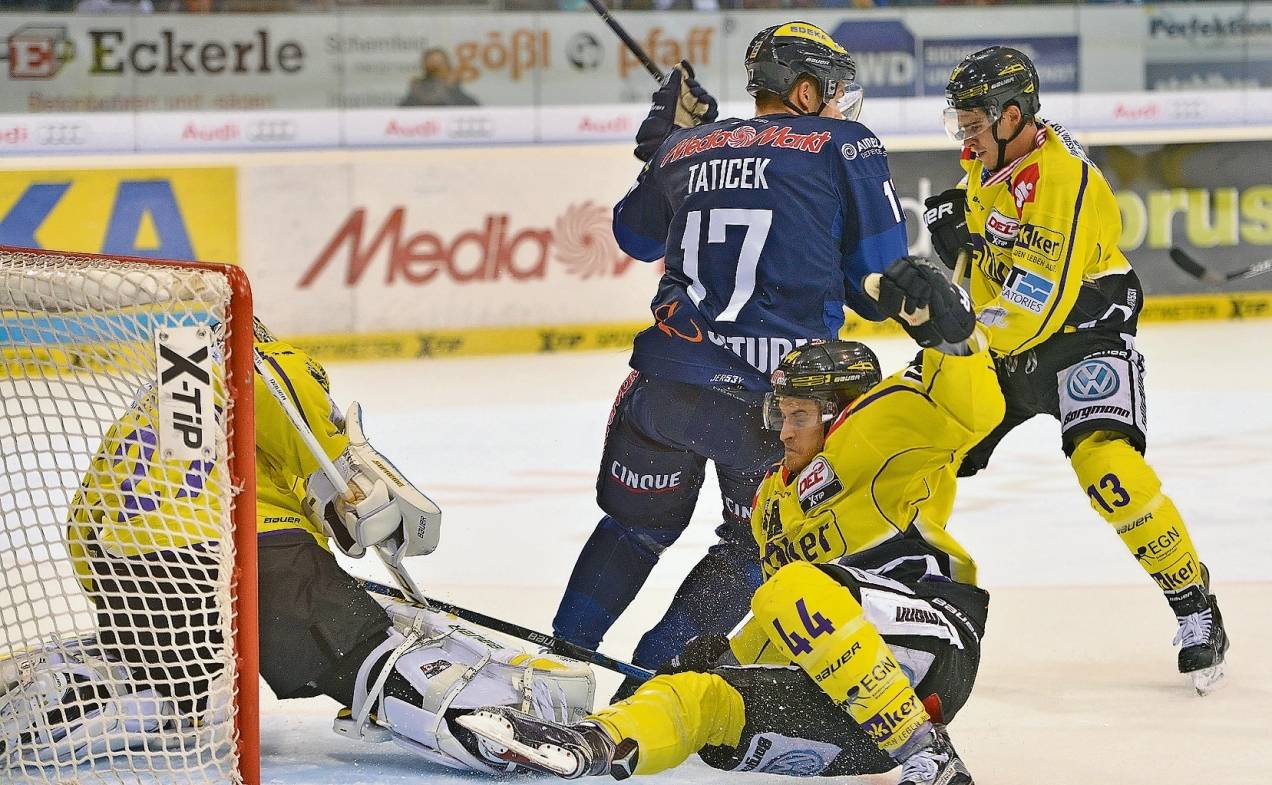 Pinguine schlittern Richtung Keller