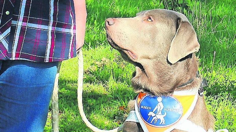 Beide Krefelder Blindenvereine arbeiten eng zusammen. Auf dem Foto: Sabine Müller, stv. Vorsitzende des Blinden- und Sehbehindertenvereins Krefeld mit Führhund Lui.