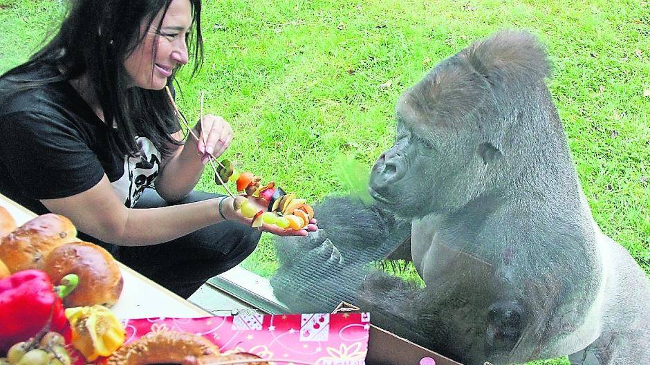 Geschenke für Kidogos Affenbande