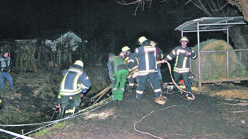 Feuerwehr rettet Pferd