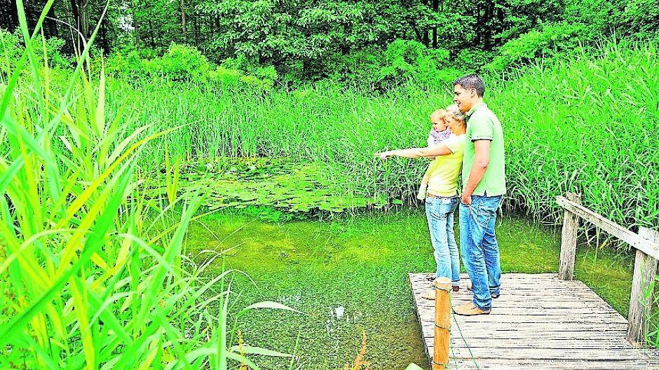  Der geo-hydrologische Wassergarten im Grenzwald, ein lehrreiches Erlebnis für Familien, Wanderer und Co., öffnet in diesem Jahr später.  