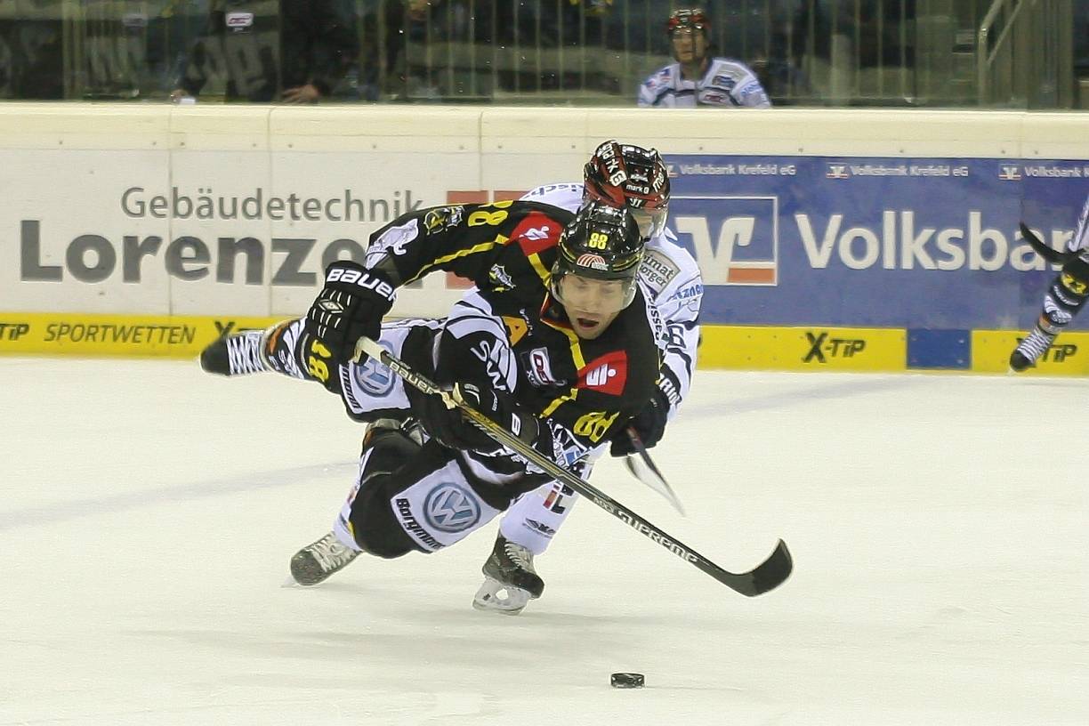 Pinguine im Abwärtstrend