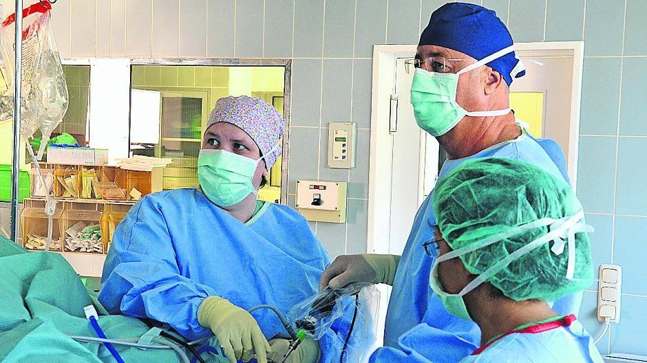 Knorpelzellen fürs Kniegelenk