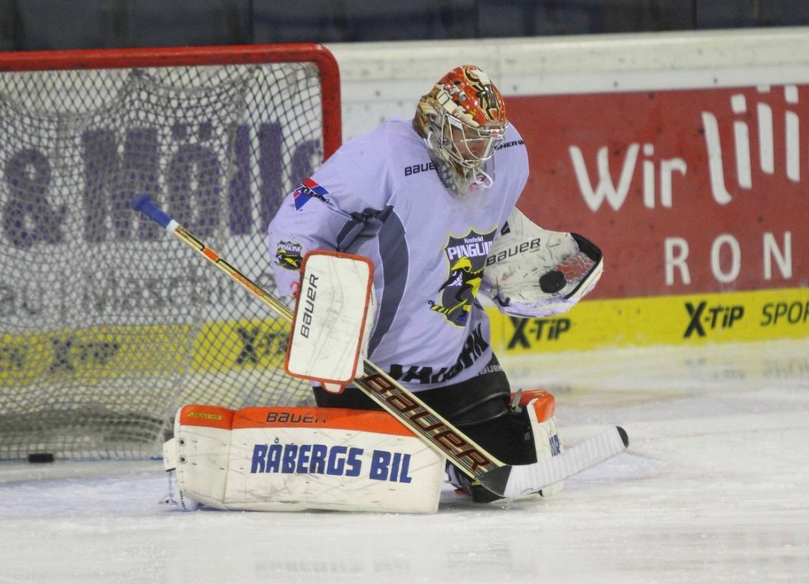 Galbraith - der Übergangs-Pinguin