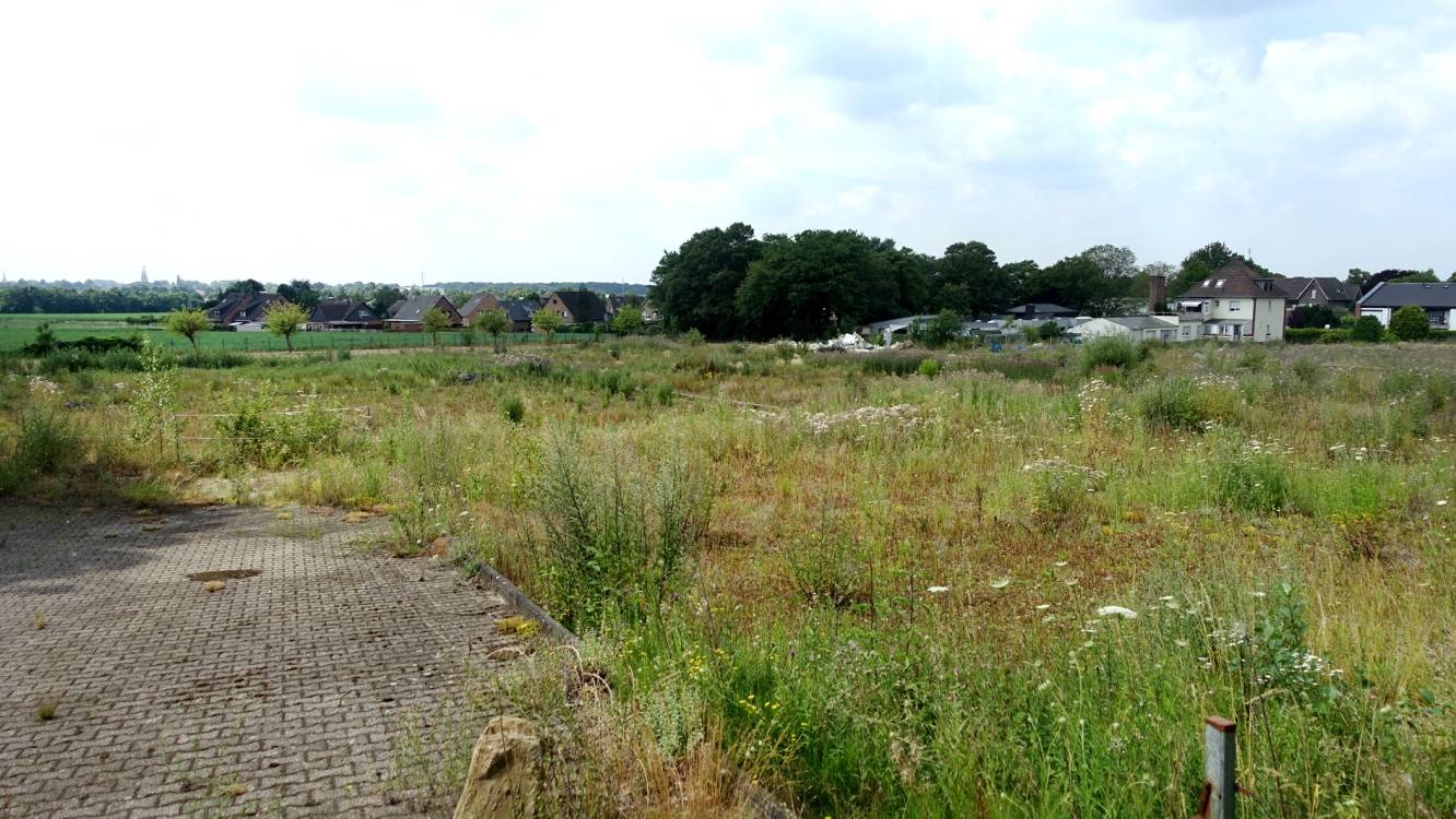  Noch ist alles still: Zwischen Grefrather und Oirlicher Straße in Hinsbeck soll gebaut werden. 
