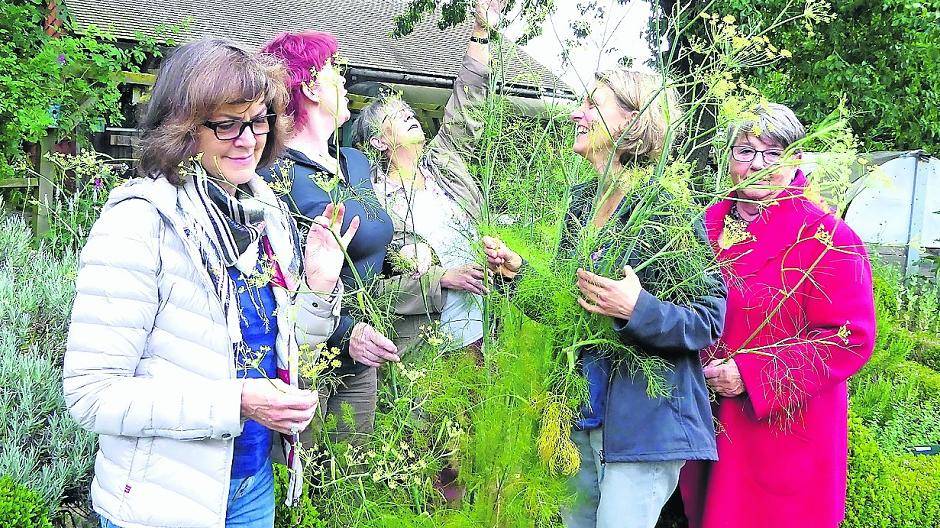  Mitten im Garten: Auf dem Naturschutzhof in Nettetal ist das Interesse für Themen der Natur außergewöhnlich hoch. 