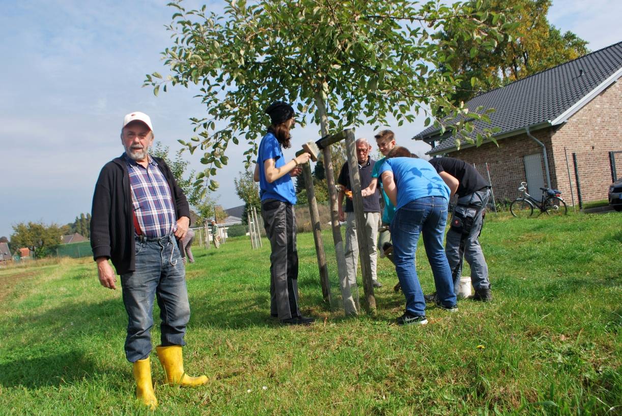  Paul Derix (links), Gründer der Obstwiesenfreunde, leitet die Mitglieder der Biotop-AG der Janusz-Korczak-Realschule an, die jungen Baumstämme mit einer Kalkfarbe zu streichen. 