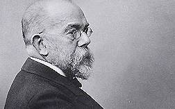 Tuberkulose in Krefeld