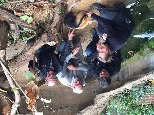 Ameisenbär im Video: Neue Anlage für die Tamandua