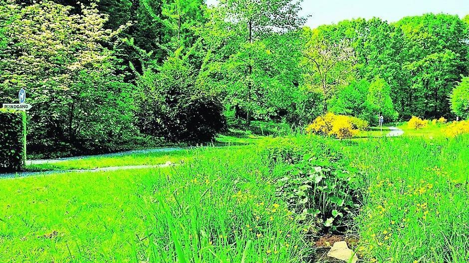 Der Rundgang im geo-hydrologischen Wassergarten lohnt sich allemal.