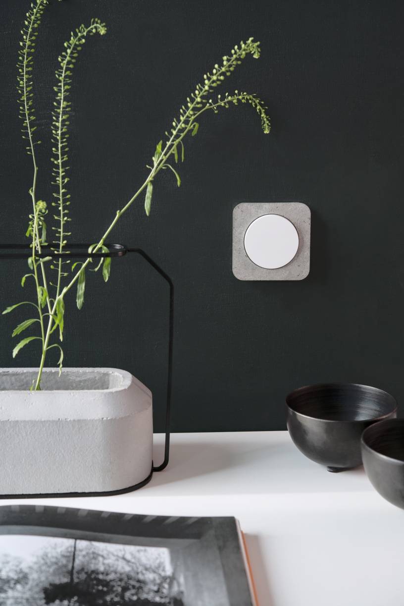 Richtig platziert und inszeniert, ist der Rahmen aus Beton ein wahrer Eyecatcher.