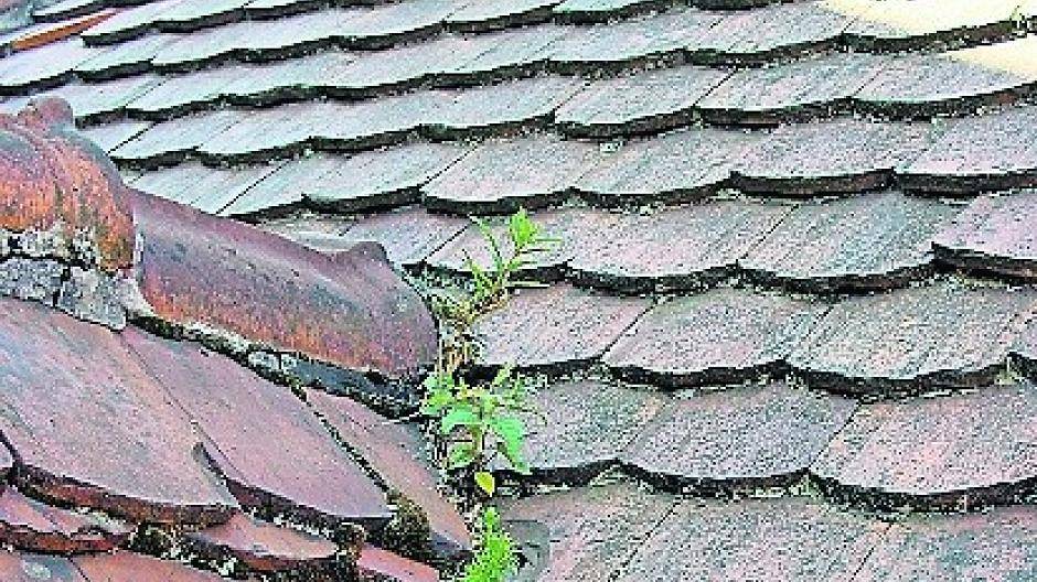  Ein solcher Dachzustand lässt Rückschlüsse über die Sorgfaltspflichten des Hausbesitzers zu. Im Schadensfall ist hier kein neues Dach von der Gebäudeversicherung zu erwarten. 