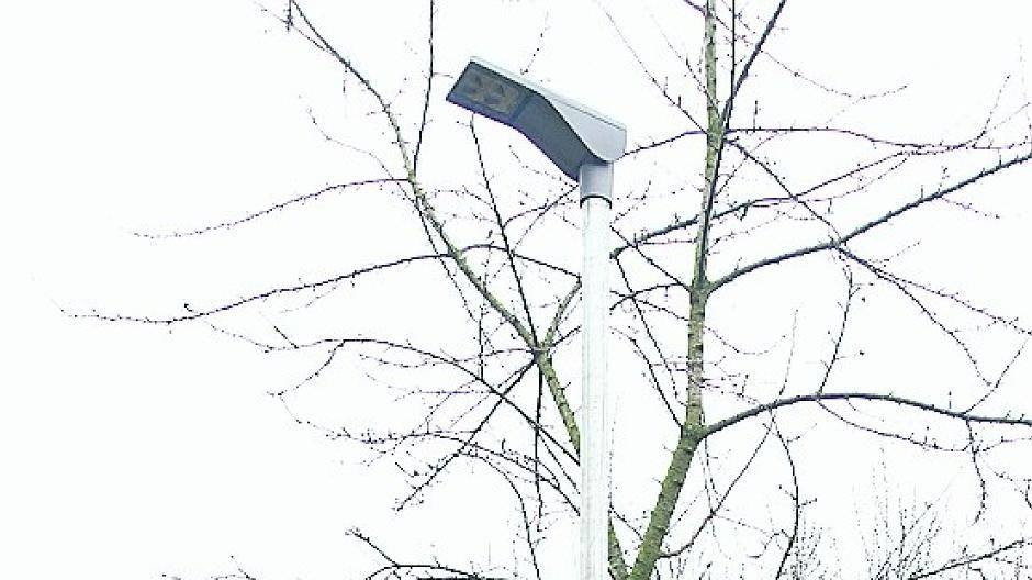 Laterne mit reduzierter Wildkirsche.