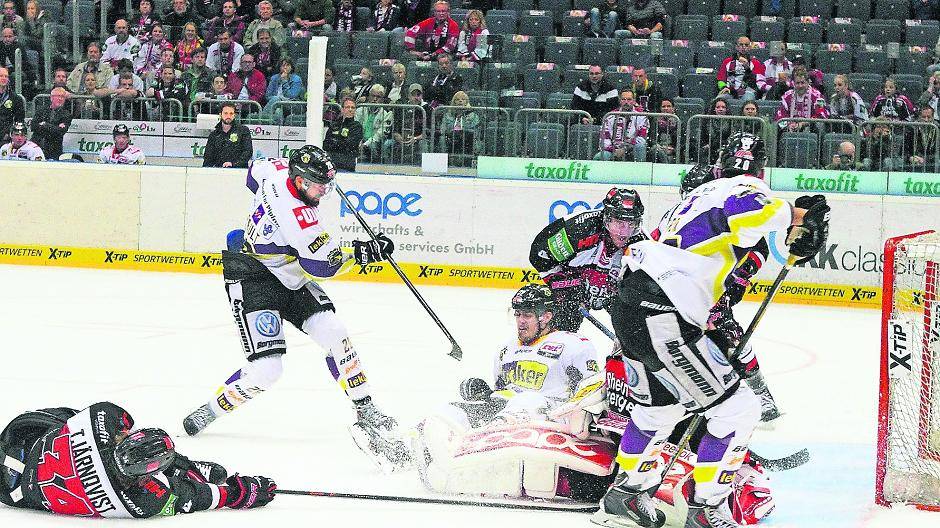  Die Haie am Boden: Die Krefeld Pinguine siegten am Freitagabend vor 9189 Zuschauern in der Kölnarena mit 1:0. 
