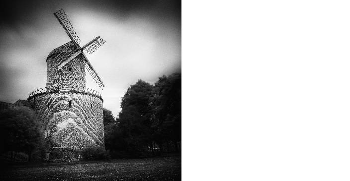 Kempener Fotokunst trifft Malerei und Design